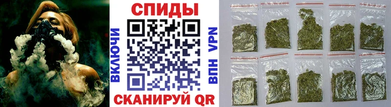 Бутират буратино  цена   Палласовка 