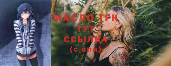 дмт Алексин