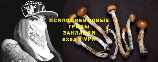а пвп мука Алзамай