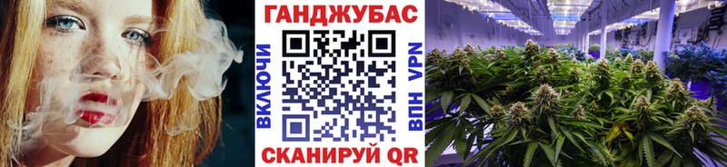 shop какой сайт Палласовка Марихуана планчик